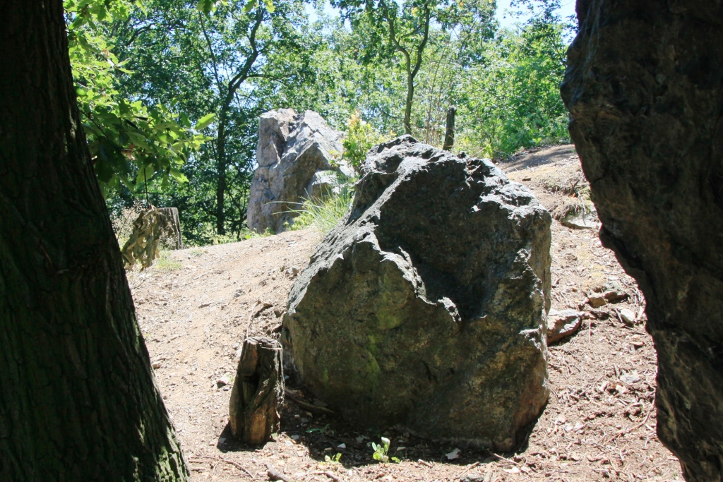 PRODN REZERVACE DIVOK RKA PRAHA LIBOC