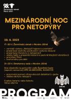 Mezinárodní noc pro netopýry