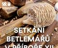 Setk�n� betlem���